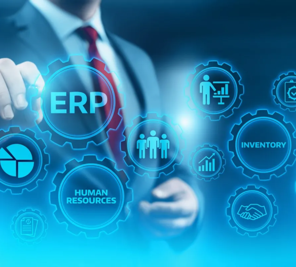 Pothera ERP Software for Manufacturing Company